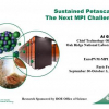 Sustained Petascale: The Next MPI Challenge