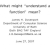 What Might "Understand a Function" Mean?